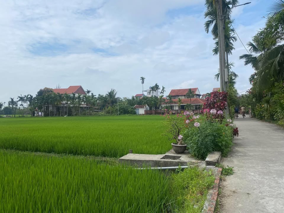 Đất nền Cẩm Thanh Hội An 400m² 12 tỷ - Tiềm năng tăng giá