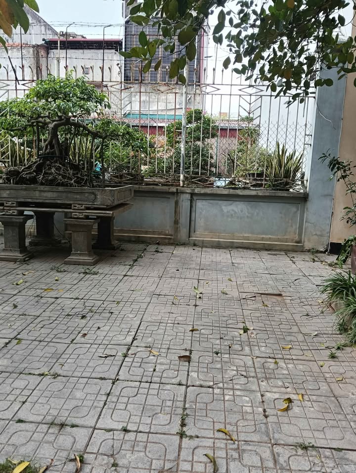 Đất nền 60m² Phường Đông Vệ, TP Thanh Hóa - Sổ đỏ sẵn sàng