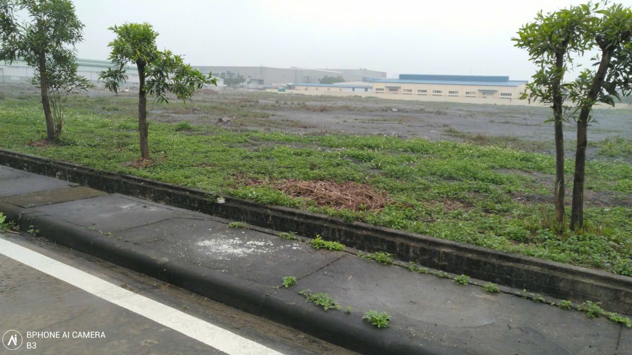 Bán gấp 17.000m² đất KCN Gia Vân, Ninh Bình - Hạ tầng hoàn thiện