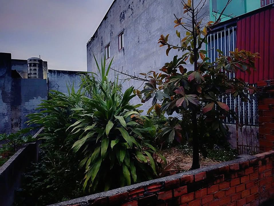 Đất Thổ Cư 91m² Hẻm Đặng Văn Lãnh, Phan Thiết - Sổ Đỏ, Giá 1.45 Tỷ