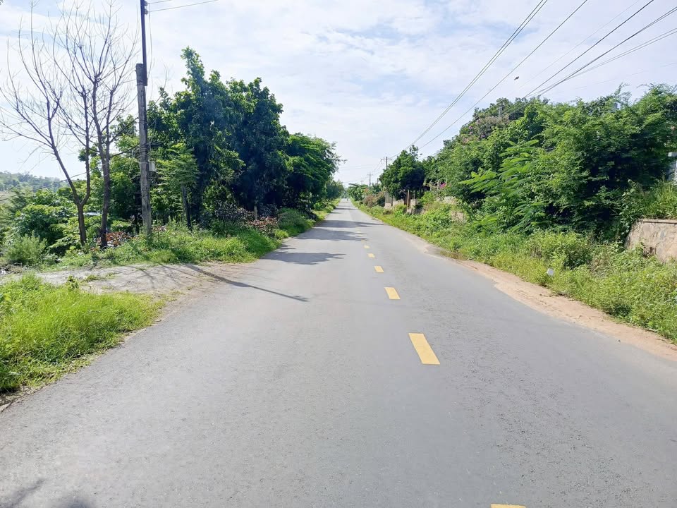 Đất Nền Hàm Đức, Bình Thuận 1100m² - Sổ Đỏ Sẵn Sàng