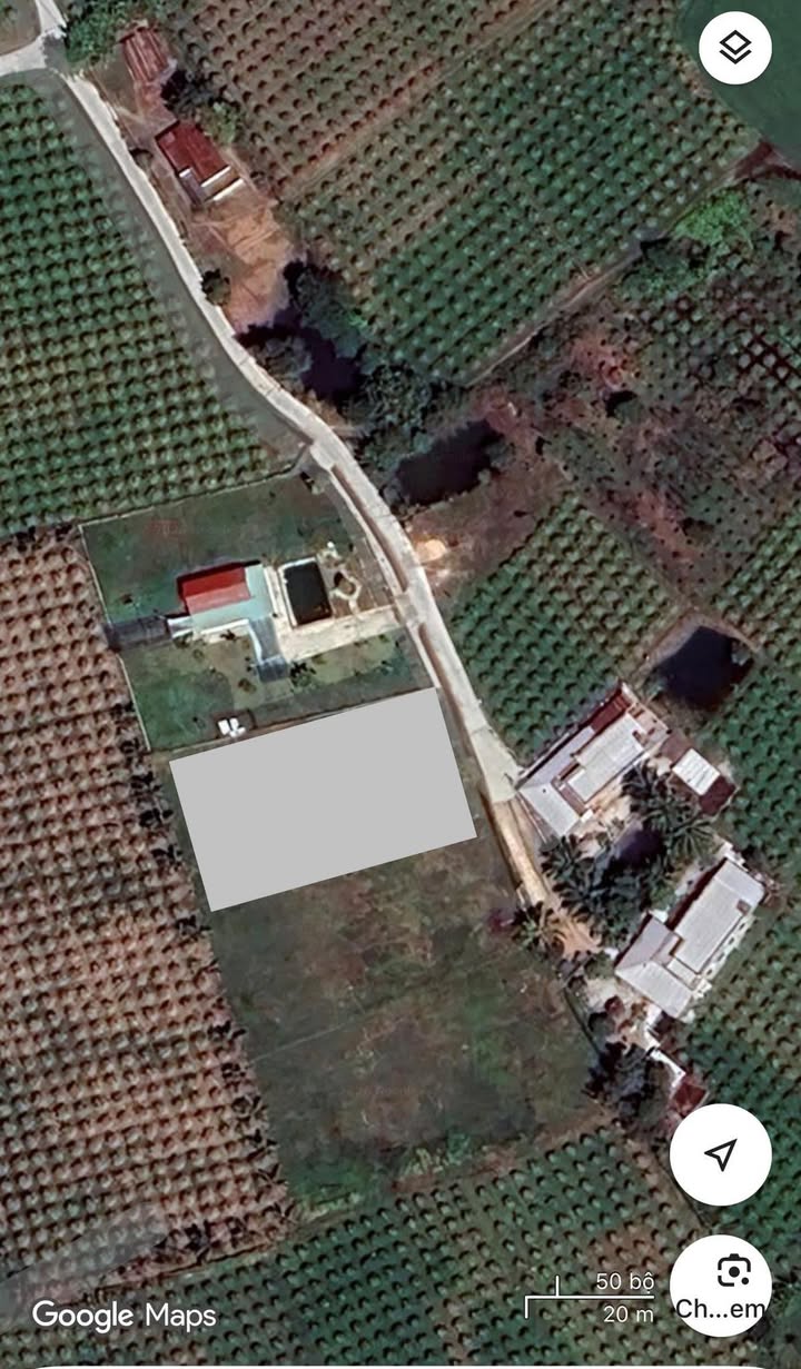 Đất Vườn 1200m² Hàm Chính, Phan Thiết - Sổ Riêng, Giá Đầu Tư