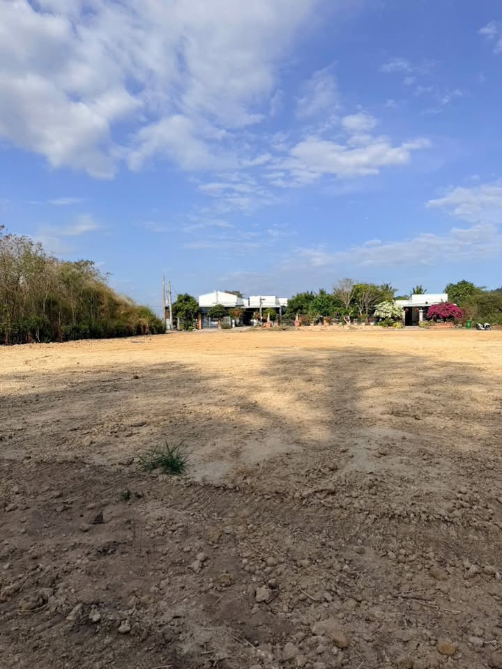 Đất nền Thị trấn Thuận Nam 500m² giá 700 triệu - Pháp lý rõ ràng!