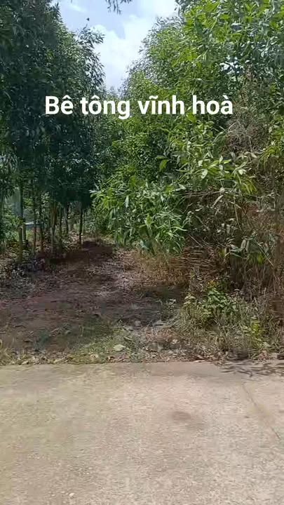 Đất nền Vạn Hưng, Vạn Ninh 2500m² - Tiềm năng tăng giá vượt trội!