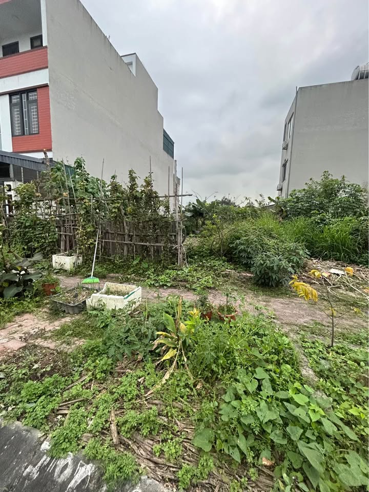 Đất dự án Cao Xanh Hạ Long 90m² thỏa thuận - Sổ đỏ chính chủ