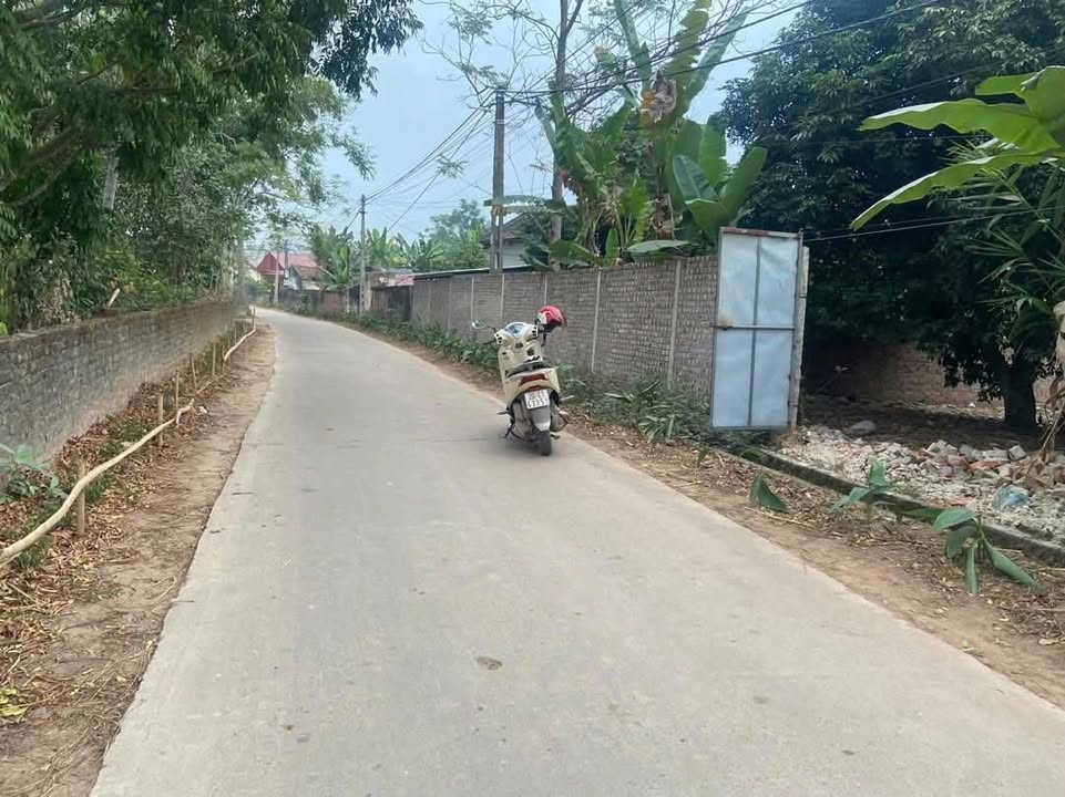 Đất nền Hương Sơn 110m² giá hơn 700 triệu - Xây dựng tự do