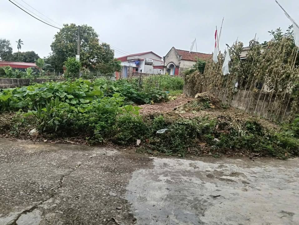 Đất nền Phú Phúc, Lý Nhân 85m² giá 600 triệu - Sổ đỏ chính chủ!