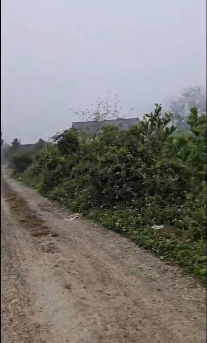 Đất vườn Gia Lâm Nho Quan 1000m² 400 triệu - Sổ đỏ