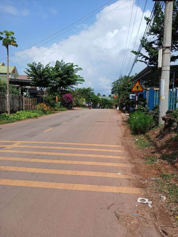 Đất Vàng Đường Nhựa Bà Triệu, Hoài Nhơn - 150m² Kinh Doanh Lý Tưởng