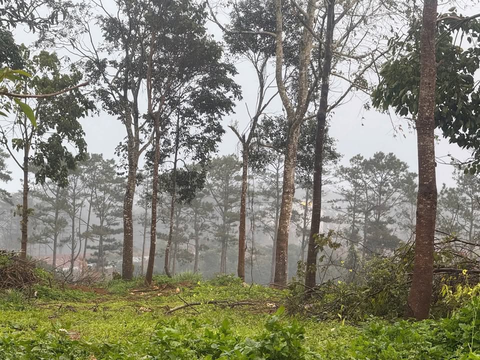 Đất nền Võ Thị Sáu, Đắk Glei 182m² - Tiềm năng tăng giá vượt trội!