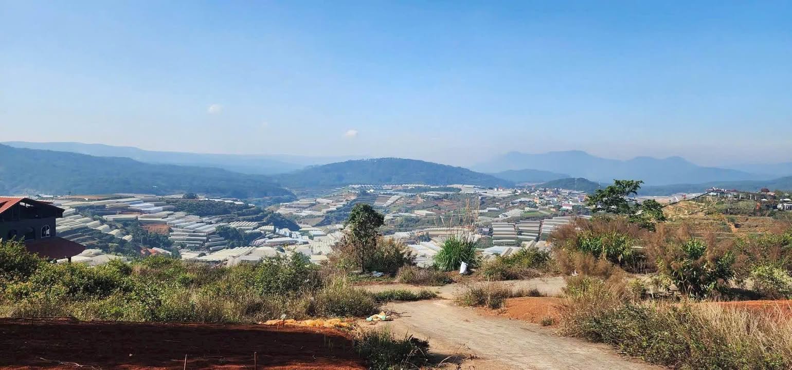 Đất nền Xuân Trường Đà Lạt 289m² 5.8 tỷ - Sổ đỏ chính chủ