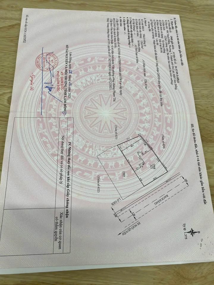 Đất nền Bạch Đằng Đà Lạt 332m² 17,7 tỷ - Đường ô tô