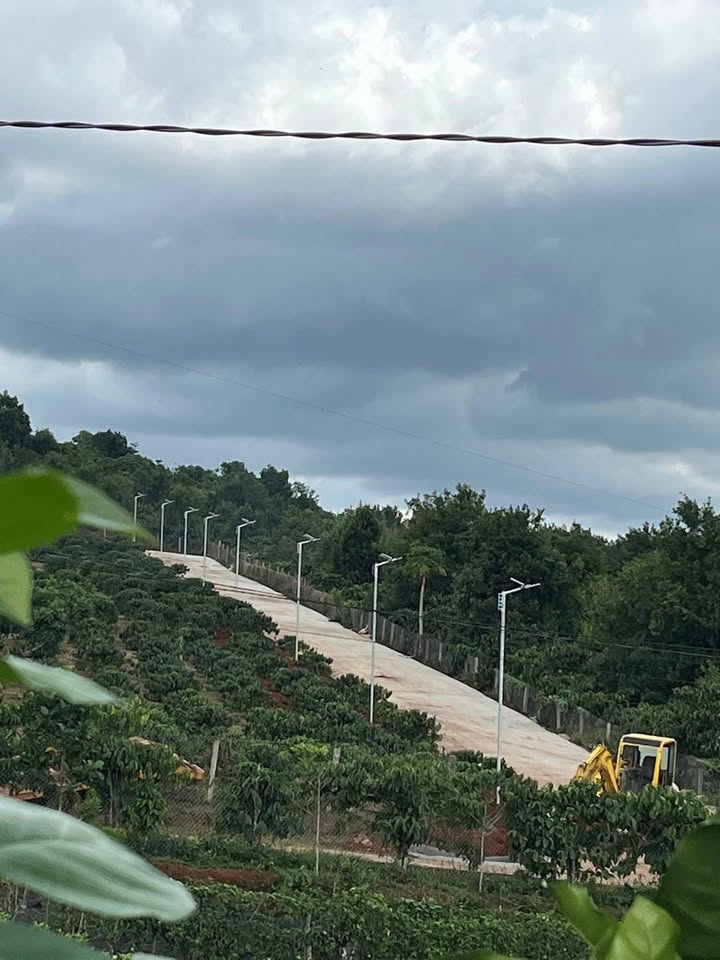 Đất Nền Lâm Hà - 240m² Thổ Cư, Sẵn Cà Phê Thu Hoạch