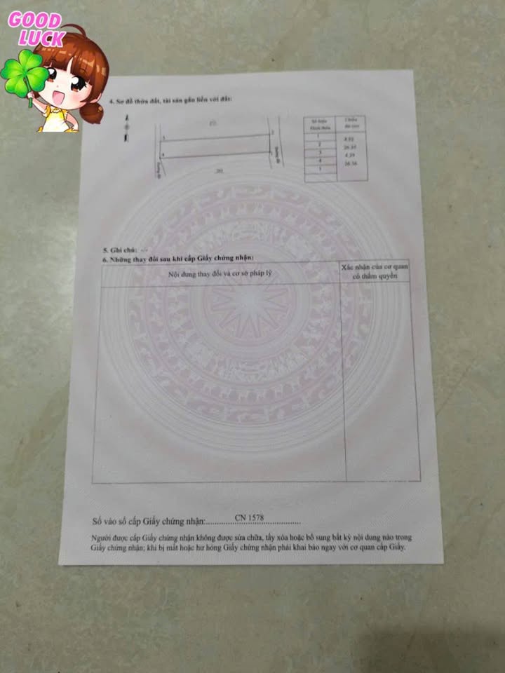 Đất nền Cao Lộc 118m² - Sổ đỏ chính chủ, tiềm năng tăng giá!