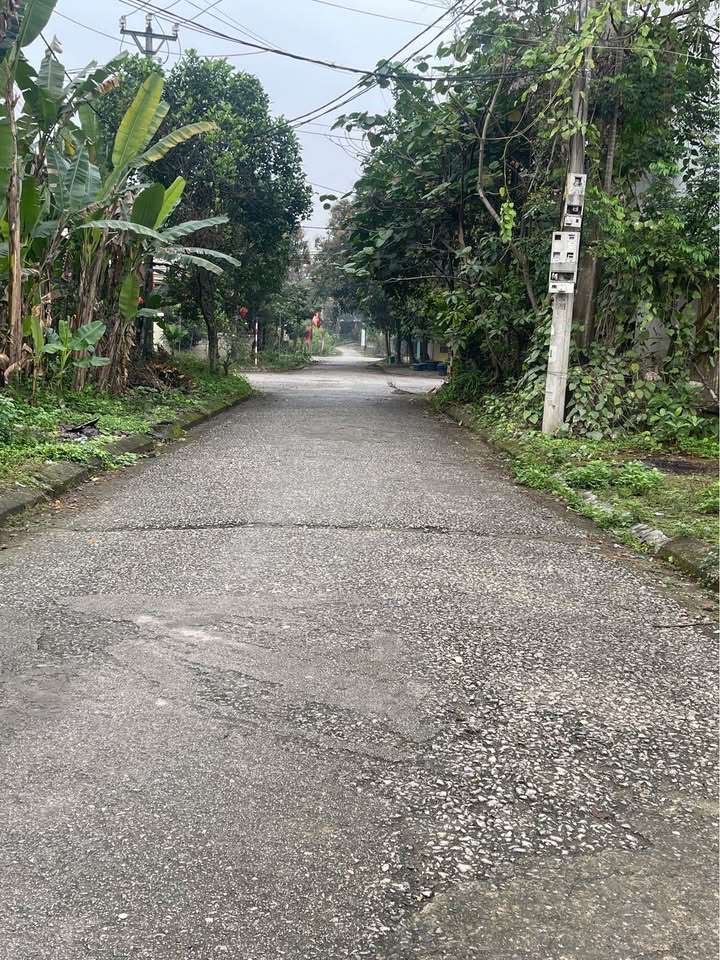 Bán Đất Tái Định Cư Tân Long, Thái Nguyên - 90m² Giá Tốt