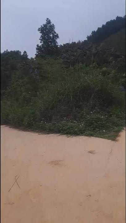 Đất nền Phổ Yên Thái Nguyên 1.6ha - Tiềm năng tăng giá vượt trội!