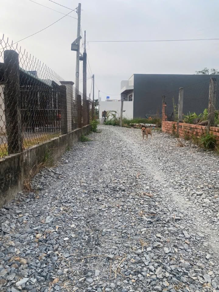 Đất nền Đức Hòa, Long An 460m² - Sổ riêng, đầu tư sinh lời!