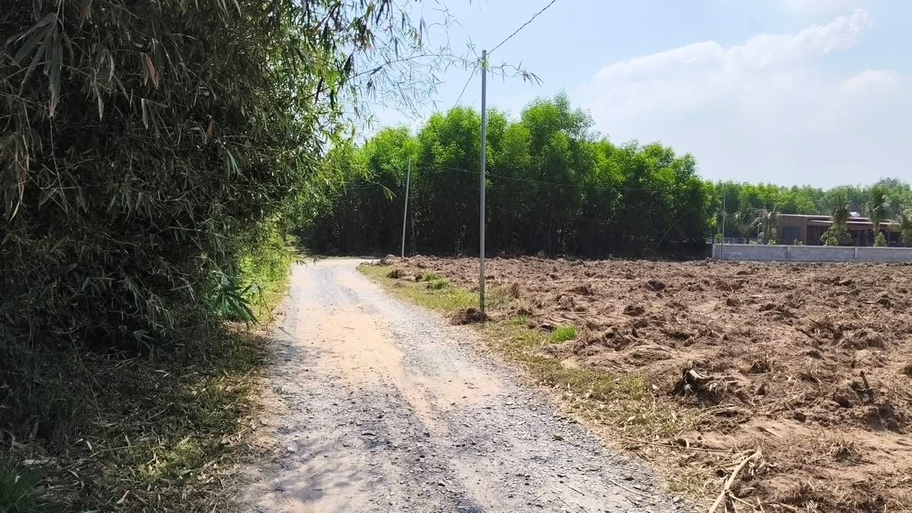 Đất Sổ Hồng Riêng Long Thọ - Giá F0 Chỉ Từ 200 Triệu/Lô