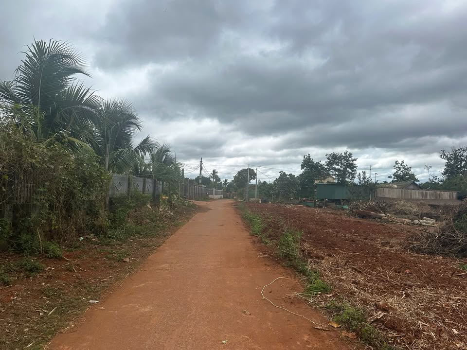 Đất nền Dliê Yang, Ea H'leo 1140m² - Tiềm năng tăng giá vượt trội!