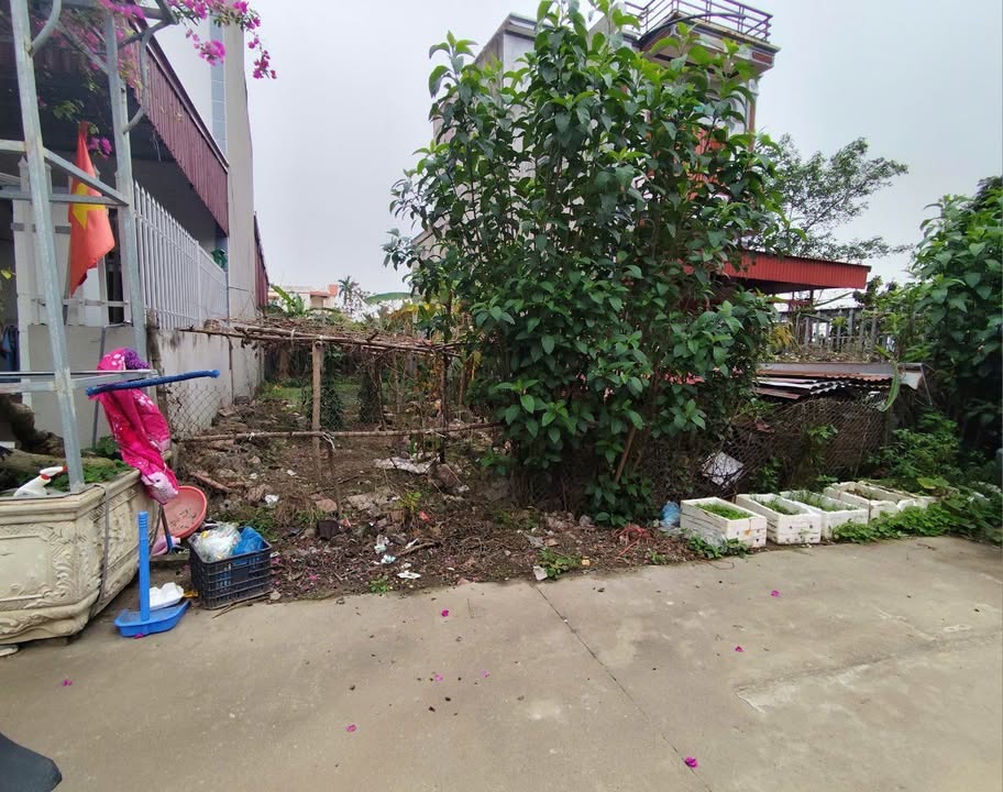 Bán đất 150m² mặt tiền 8m Phường Cảnh Thụy, Bắc Giang - Kinh doanh, ở tốt