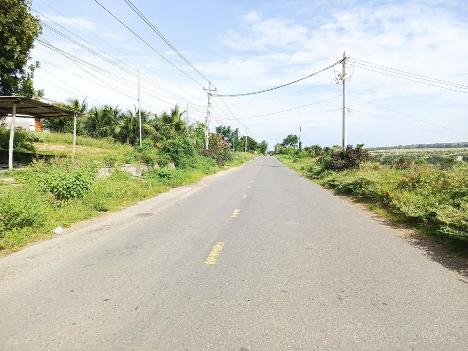 Đất Nền Thôn 7 Hàm Đức 1100m² - Sổ Đỏ Chính Chủ, Tiềm Năng Vượt Trội