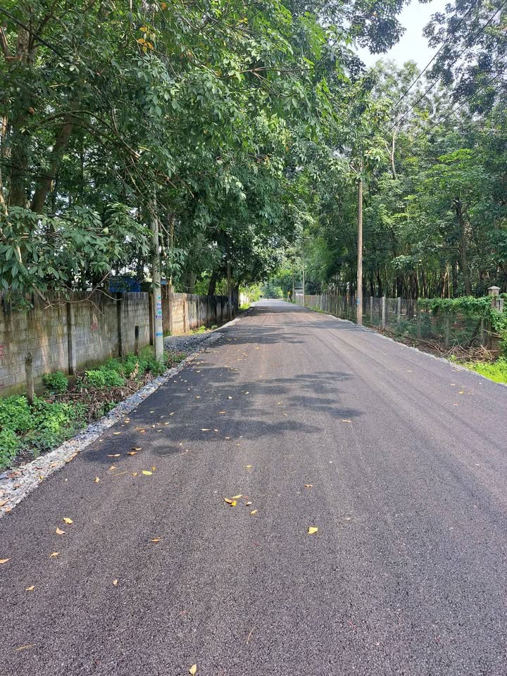 Đất nền Củ Chi 289m² - Sổ đỏ chính chủ, giá 2.3 tỷ!