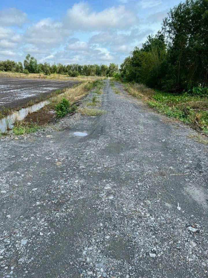 Bán Đất Lúa 8190m² Đức Hòa, Long An - Sổ Đỏ, Giá Tốt