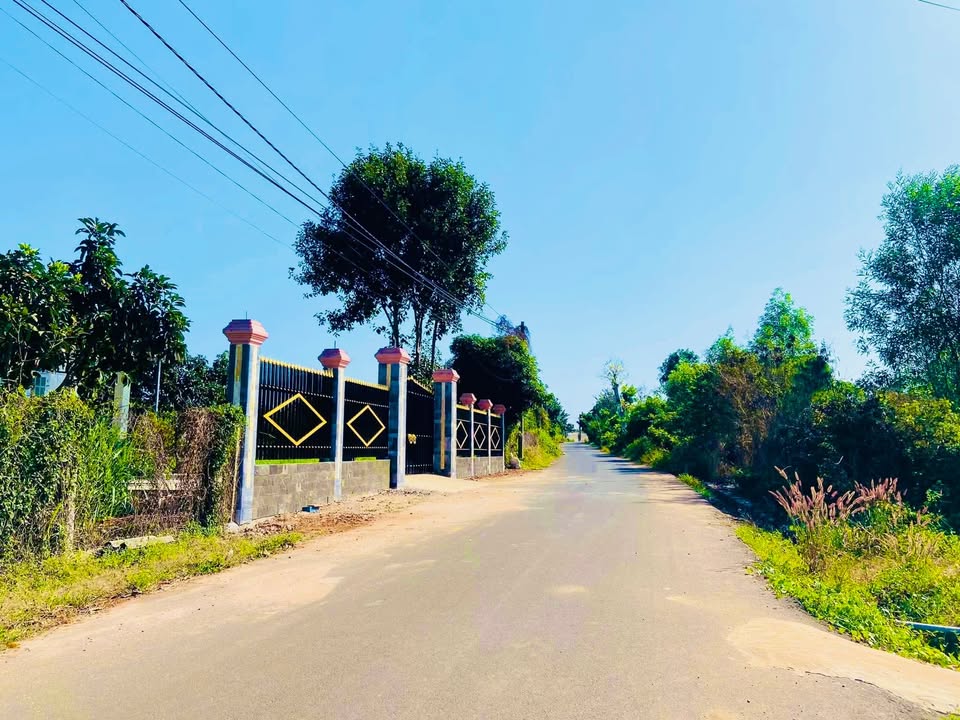 Đất nền Xuyên Mộc 1339m² - Sổ hồng chính chủ, tiềm năng đầu tư!