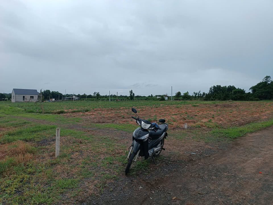Đất nền Hồ Tràm Xuyên Mộc 1.990m² 5.5 tỷ - Sổ đỏ chính chủ