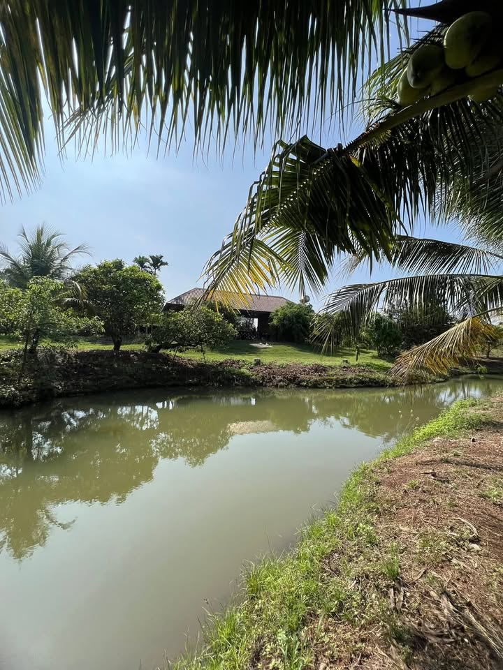 Đất Vườn Nghỉ Dưỡng 10.000m² view Hồ Đá Bàng - Châu Đức, BR-VT