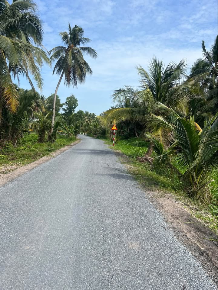 Đất vườn Châu Thành, Trà Vinh 2130m² - View thiên nhiên, mặt tiền sông!