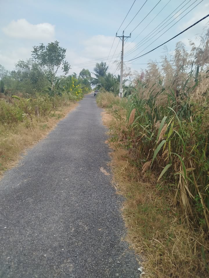 Đất nền Duyên Hải Trà Vinh 1600m² - Tiềm năng tăng giá!