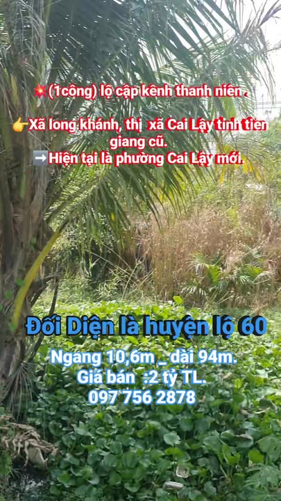 Đất nền Phường 5 Cai Lậy 1.000m² 2 tỷ - Sổ đỏ chính chủ