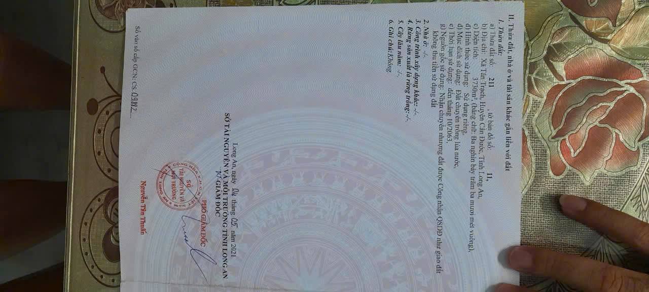 Đất Lúa 2000m² Đường GTNT Xã Mỹ Lệ - Giá 5 Tỷ Sinh Lời Cao