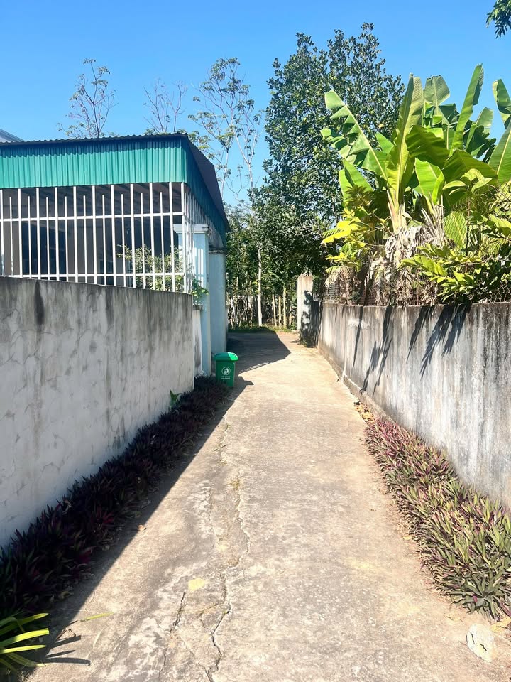 Đất nền Hoằng Tiến 136m² giá 600 triệu - Tiềm năng tăng giá!