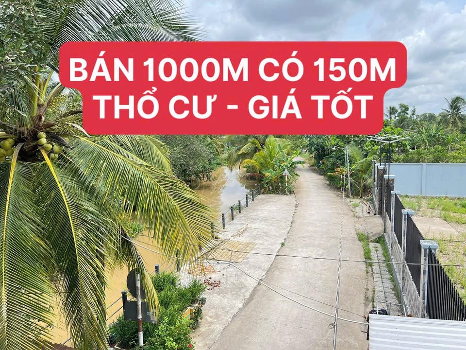 Đất nền Cần Thơ 1000m² Rạch Ông Dựa - Sổ đỏ chính chủ, đường ô tô!