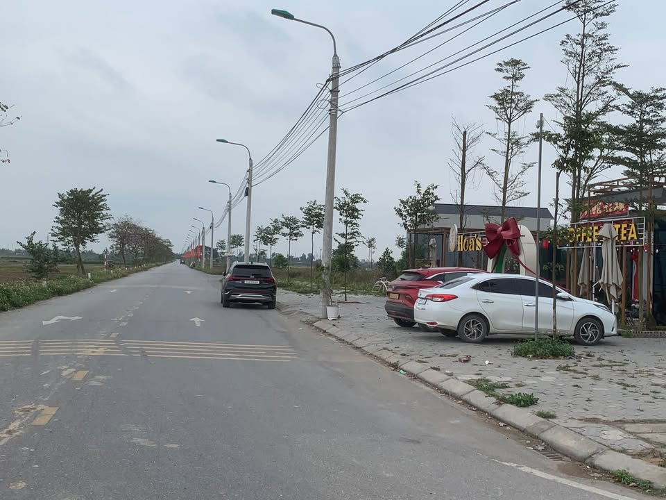 Đất Đấu Giá Hải Dương - Sổ Đỏ Từng Lô, Giá Tốt Đầu Tư An Lâm