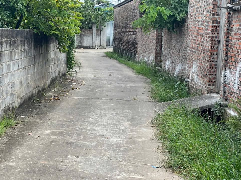 Bán đất thổ cư Quế Võ, Bắc Ninh 119m² - Sẵn sổ, ô tô tránh