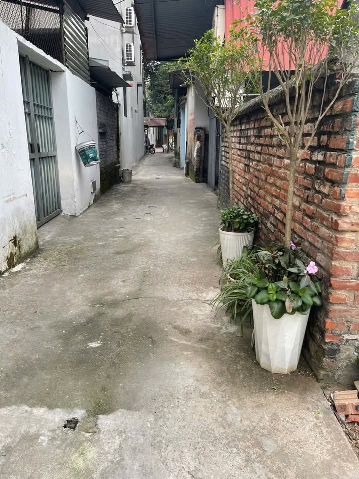 Bán Đất Vàng Đại Phúc, Bắc Ninh 77.6m² Hướng Đông Nam - Sổ Đỏ Giá 3 Tỷ