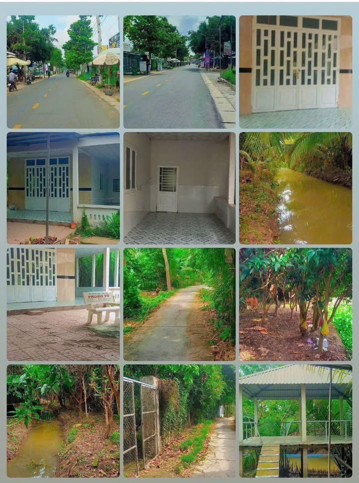 Đất vườn có nhà cấp 4 Hậu Giang 3333m² - Sổ hồng chính chủ, tiềm năng tăng giá!