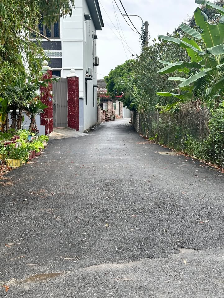 Đất nền TDP Trung Phường Việt Yên 126m² - Sổ đỏ chính chủ, tiềm năng tăng giá