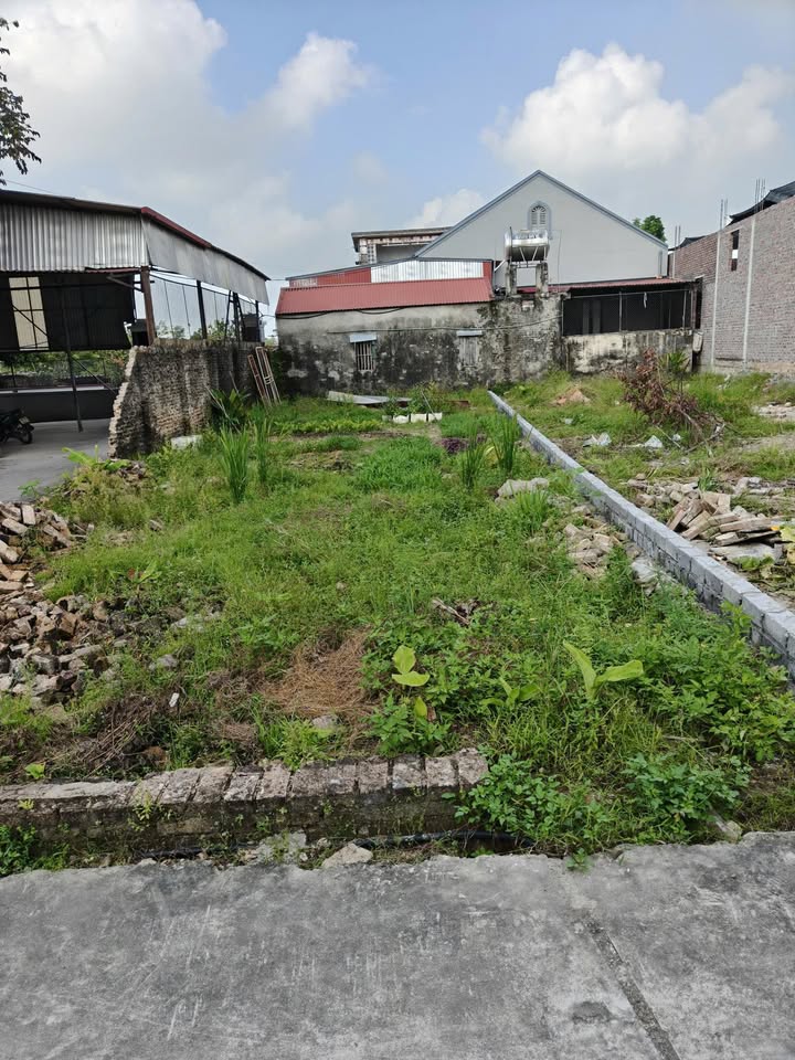 Bán Đất Lô Góc 146m² Đoan Bái, Hiệp Hòa - Tiềm năng X2, X3 tài sản