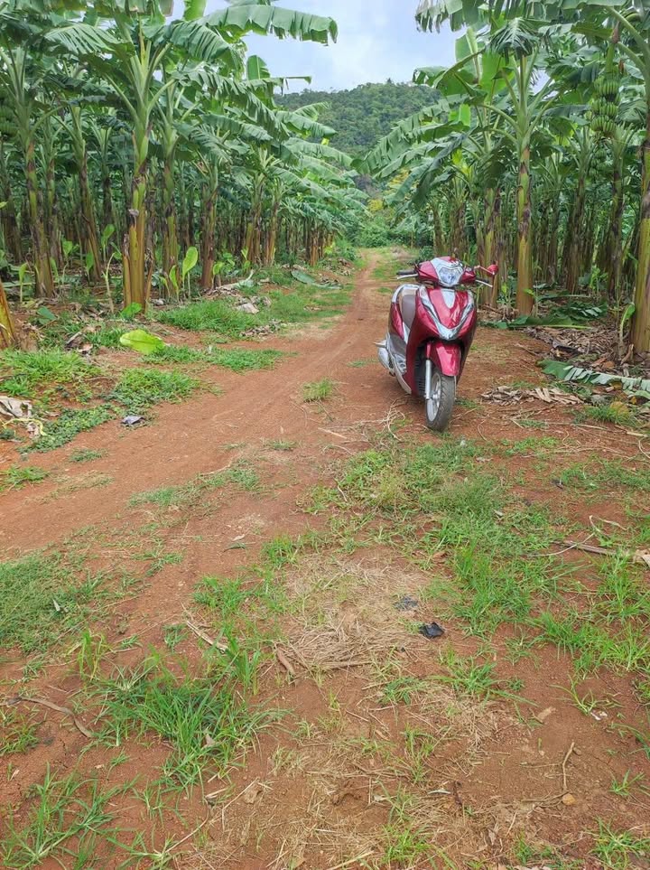 Đất Tân Lập-Buôn Ma Thuột 4 tỷ - Sinh thái xanh