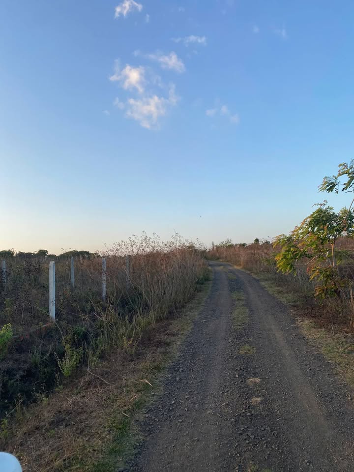 Đất nền Buôn Ma Thuột 521.5m² - Sổ đỏ chính chủ, giá chỉ 195 triệu!