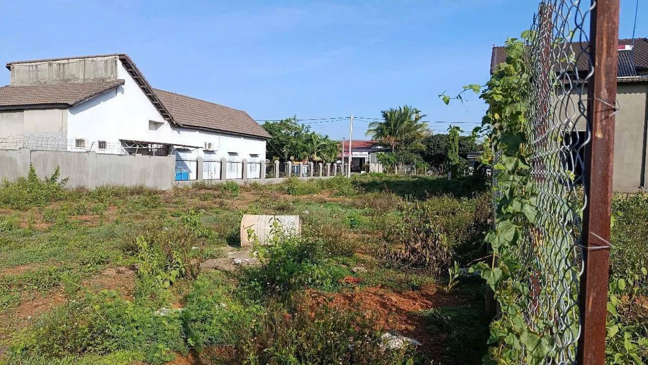 Đất Vàng Mặt Tiền Tỉnh Lộ 2, Buôn Ma Thuột - 421m² Thổ Cư, Sổ Sẵn