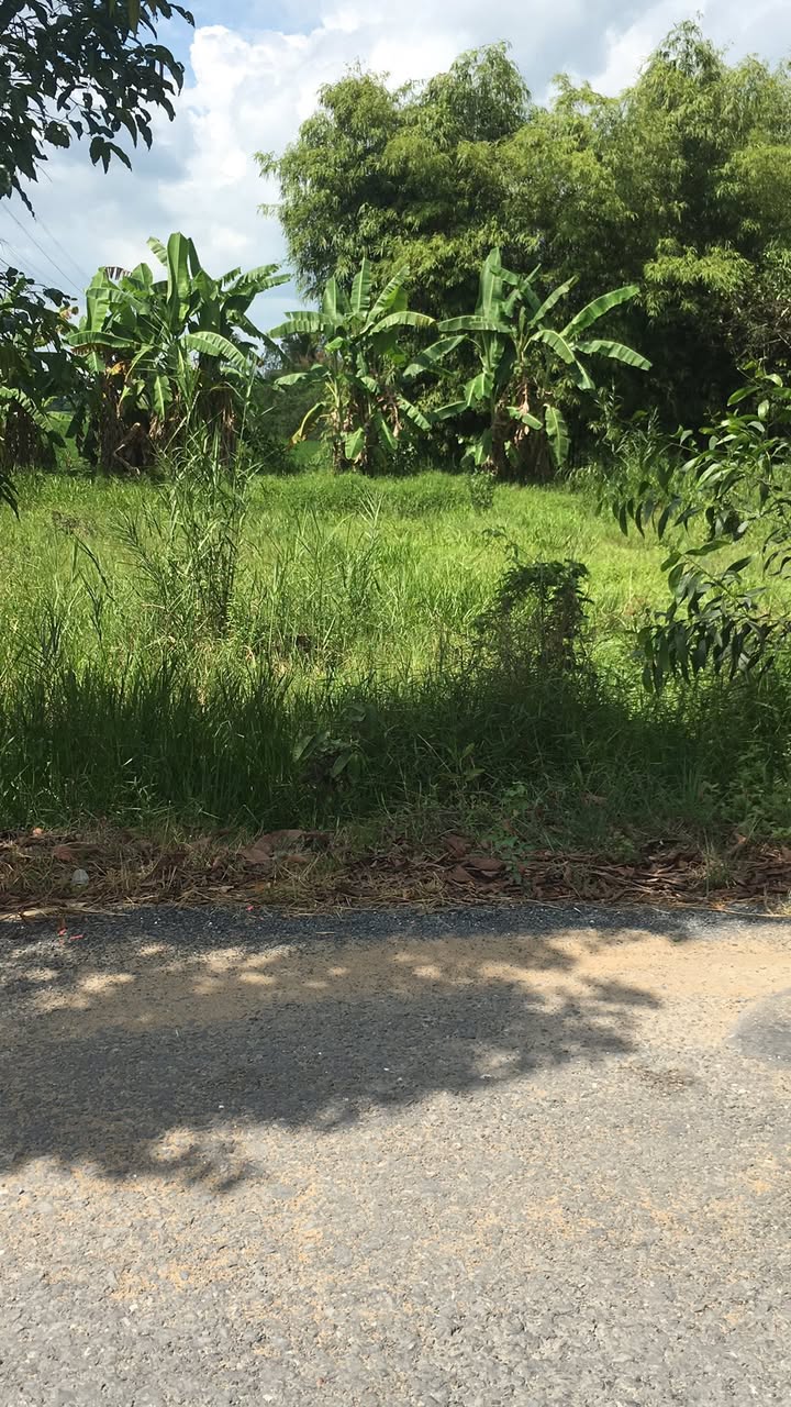 Đất nền Bình Thành Hậu Giang 305m² giá 650 triệu - Đường to ô tô