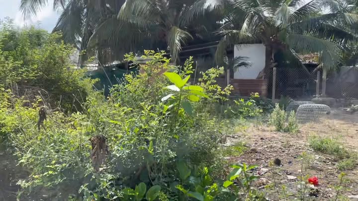 Đất nền Ninh Hoà 98m² - Pháp lý rõ ràng, vị trí đẹp!