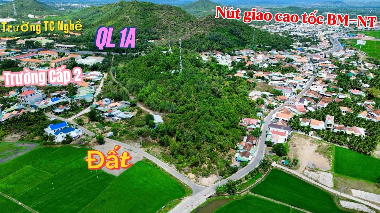 Đất Vàng Ninh Hòa 1046m² Full Thổ Cư - Sẵn Sàng Xây Dựng