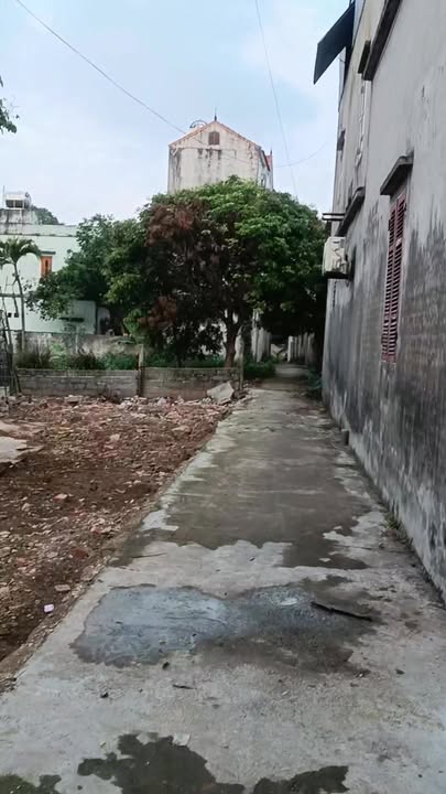 Đất nền Vũ Phúc Thái Bình 40m² - Sổ đỏ chính chủ, ô tô thông!