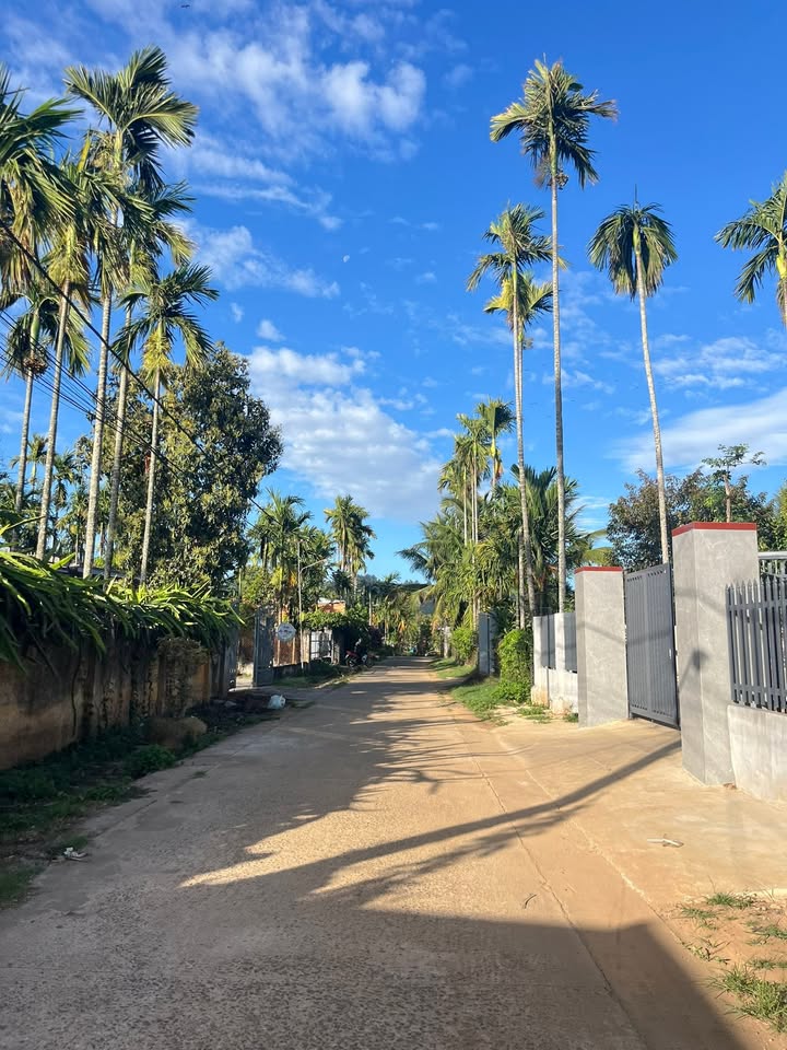 Đất nền Thôn 2A Ea Ktur 182m² - Tiềm năng tăng giá